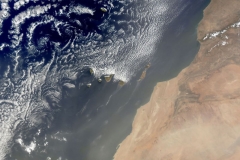Canarie_Sahara