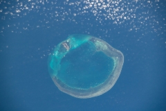 China-Dongsha-Atoll-National-Park